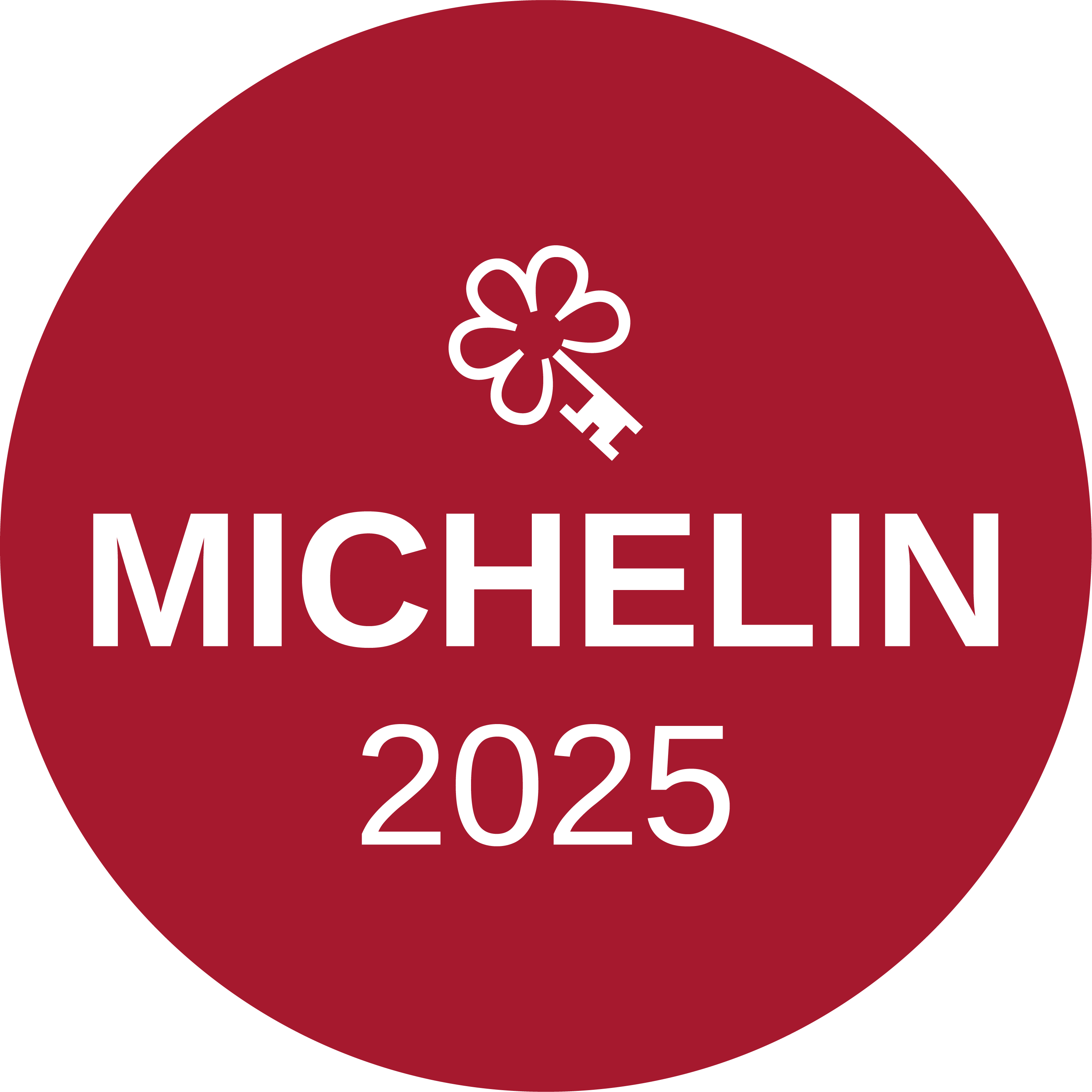 Michelin Key Logo